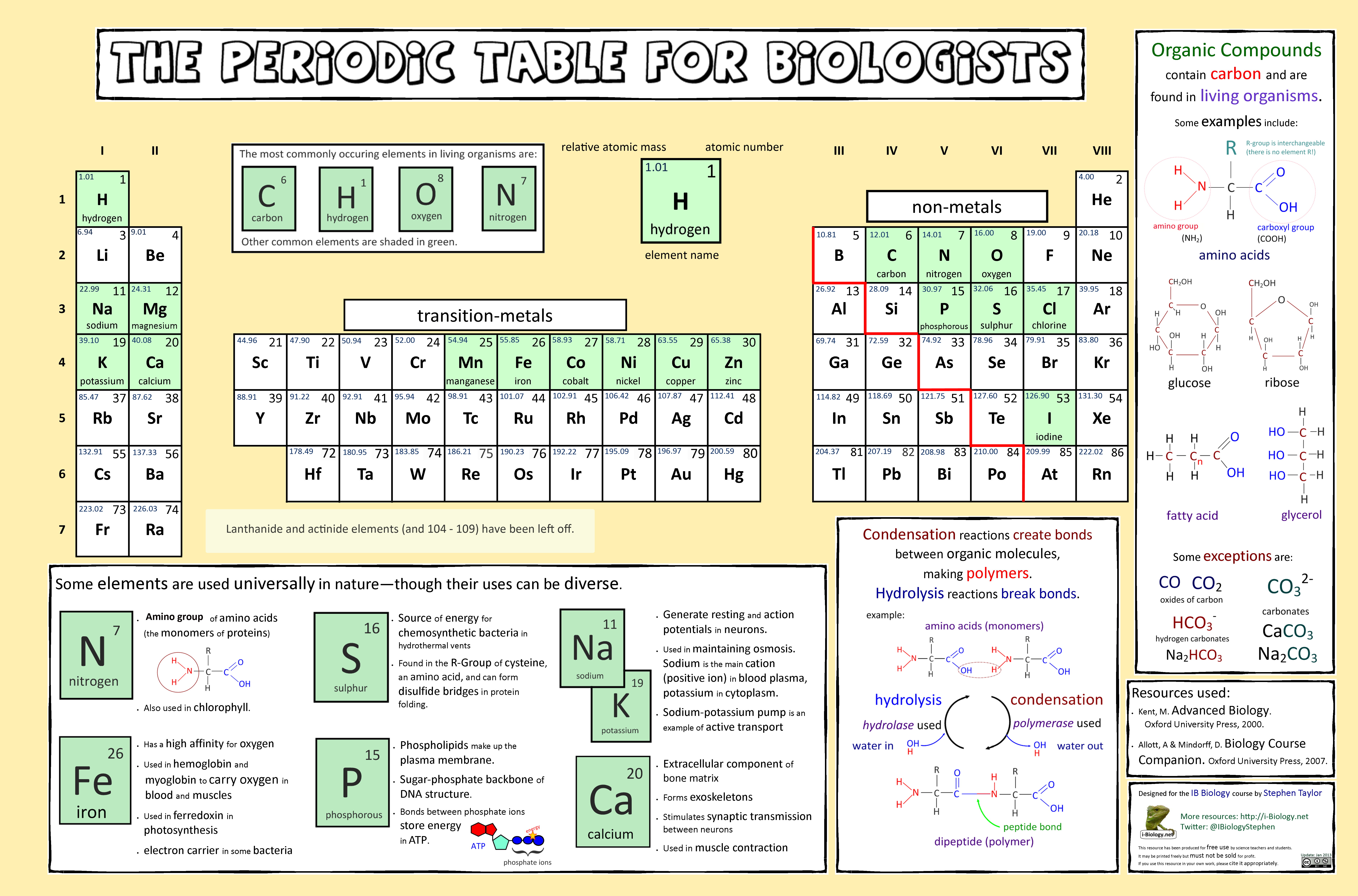 periodic table for biologists i biology