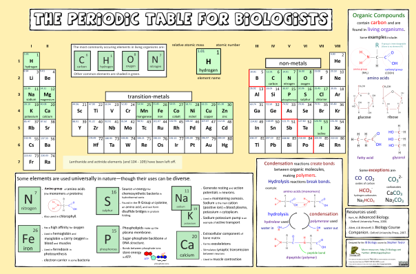 Periodic Table for Biologists, AO printable version (.png, 3MB). Last updated Jan 2013. 